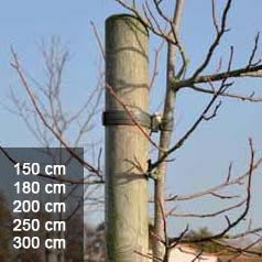 Postes fresados de Pinho